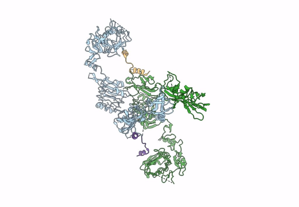 8DTL image
