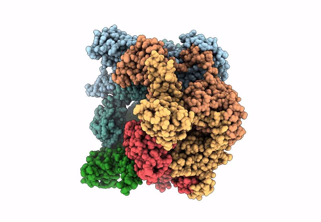 8DTP image