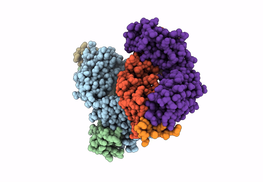 8DTX image