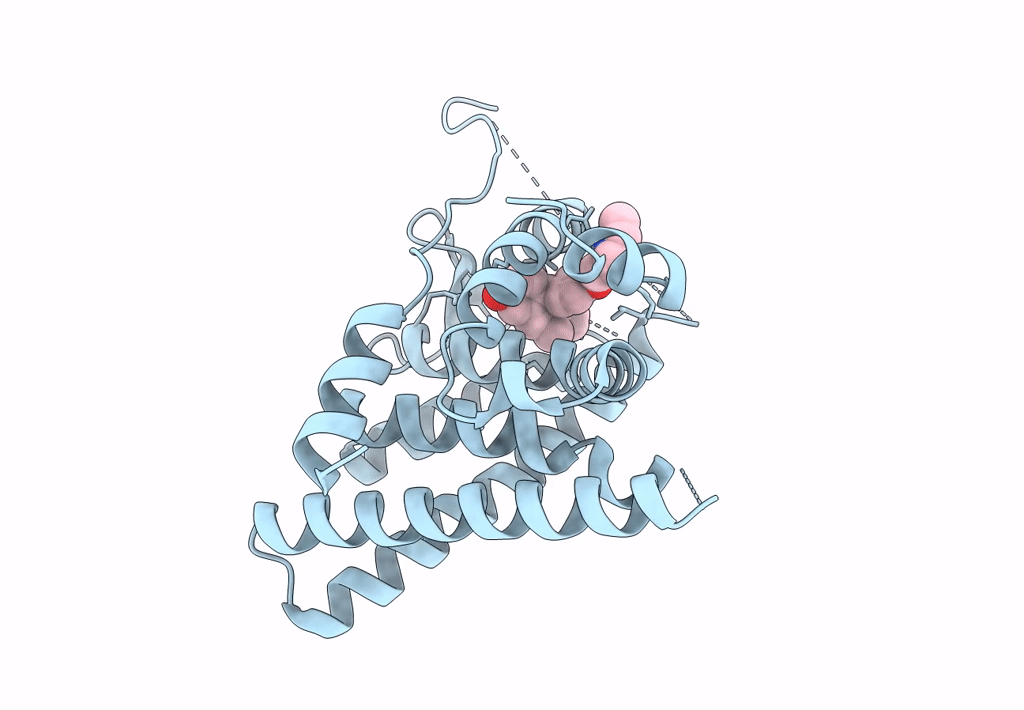 8DUC image
