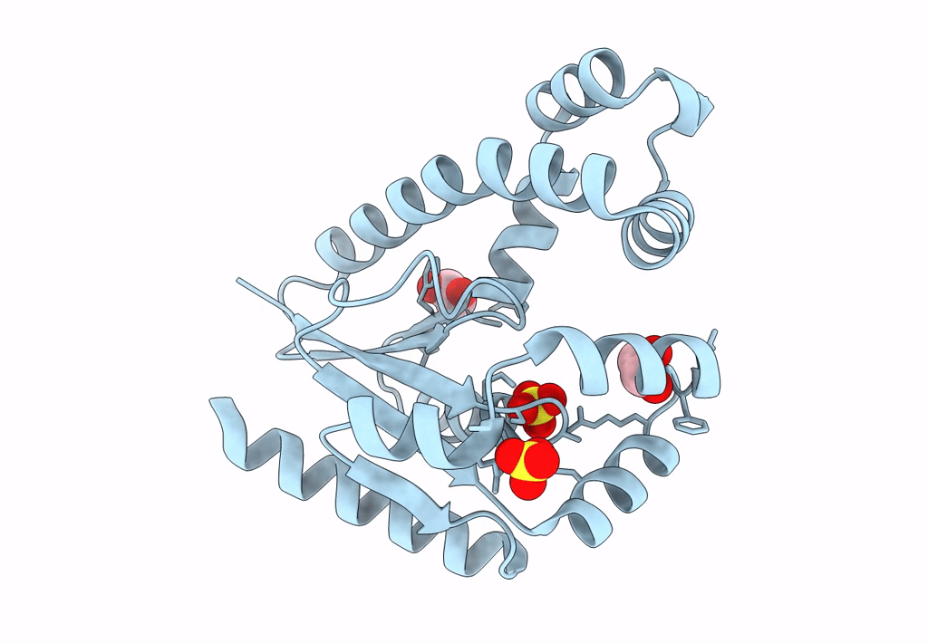 8DV0 image