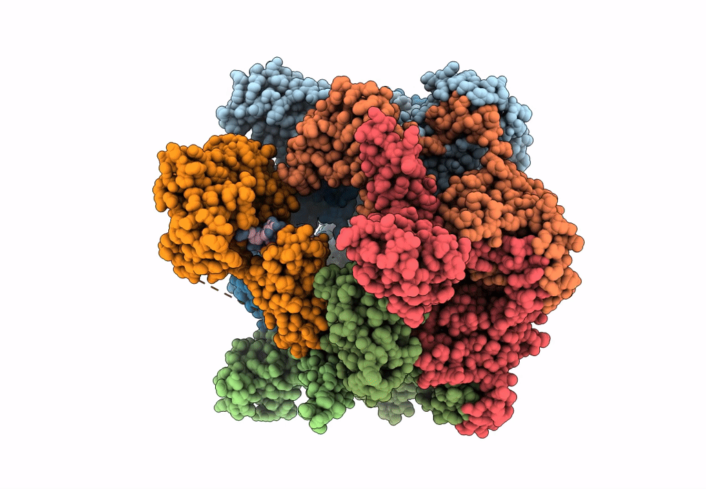 8DVI image