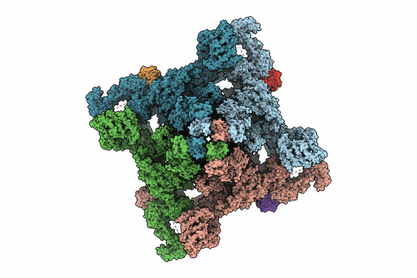 8DVV image