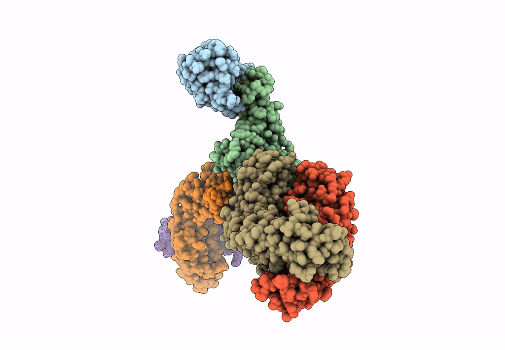 8DW3 image