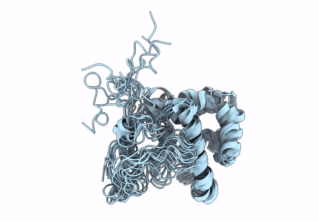 8DWQ image