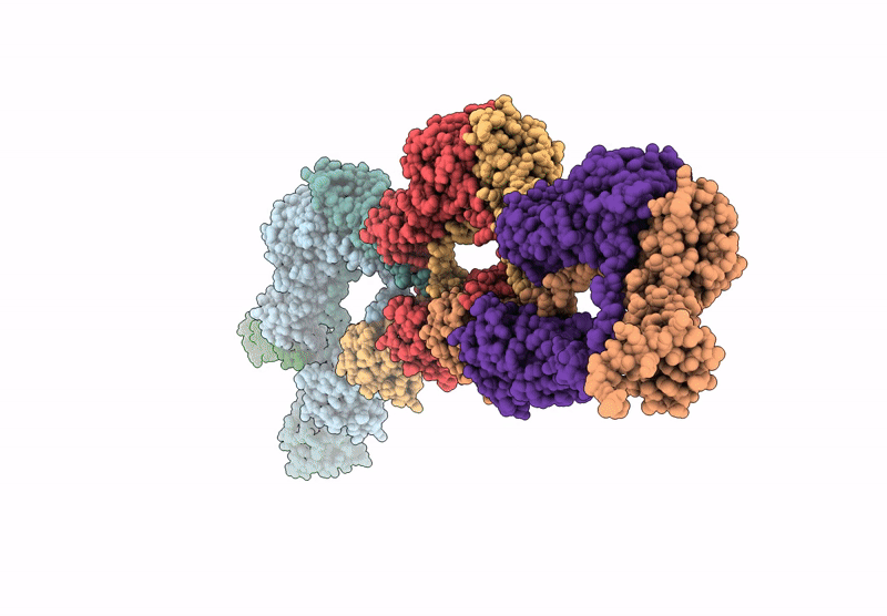 8DWS image