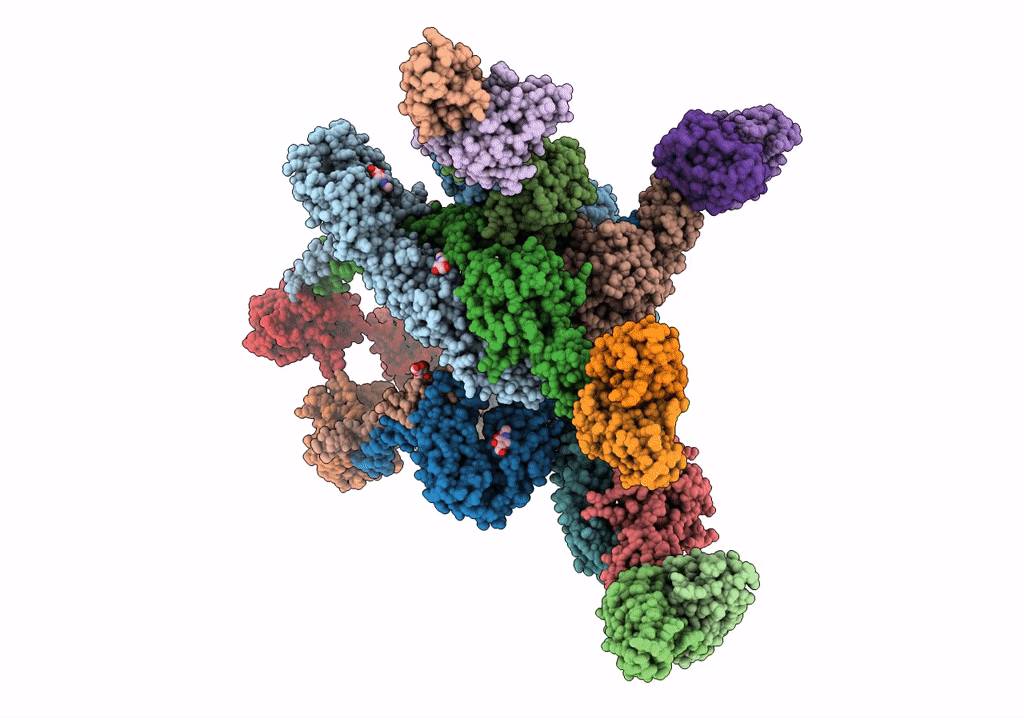 8DWX image