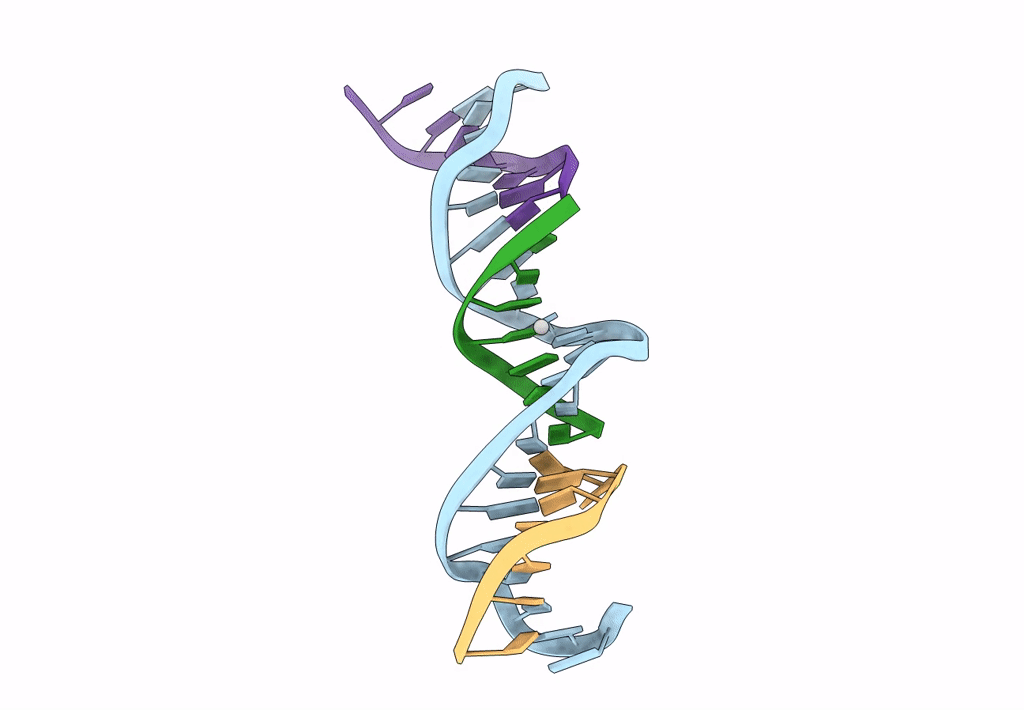 8DX5 image