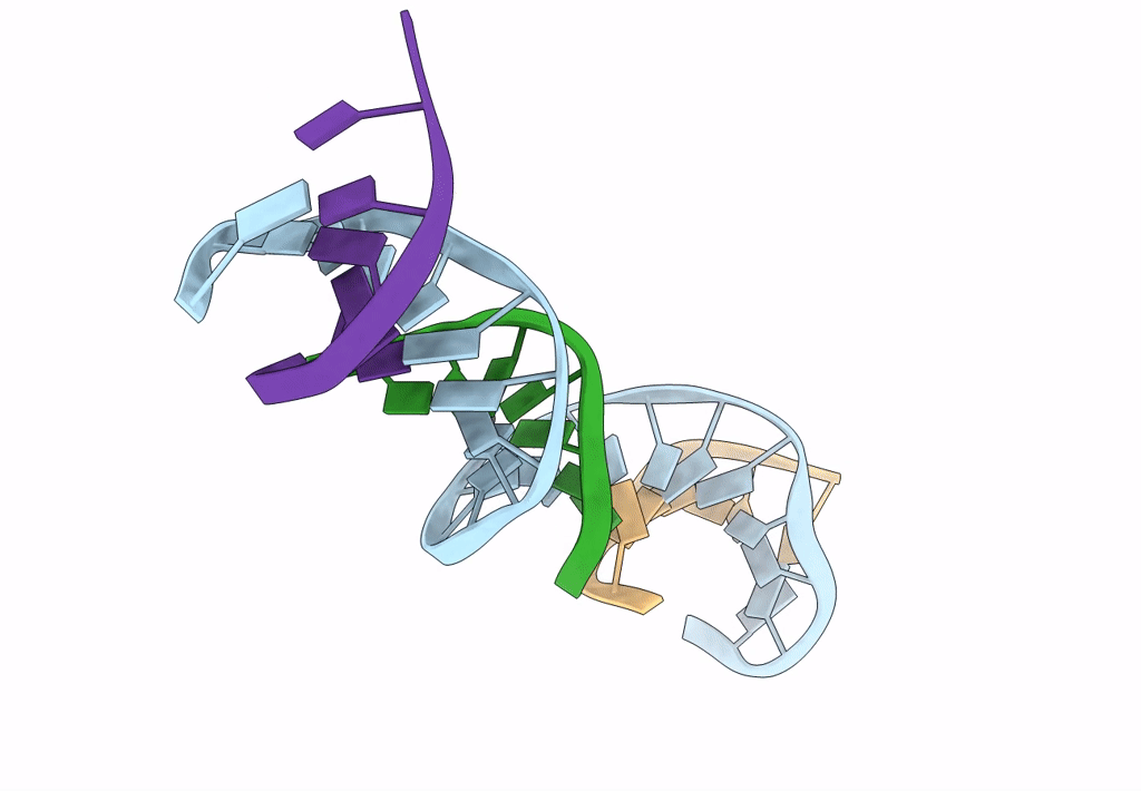 8DX7 image