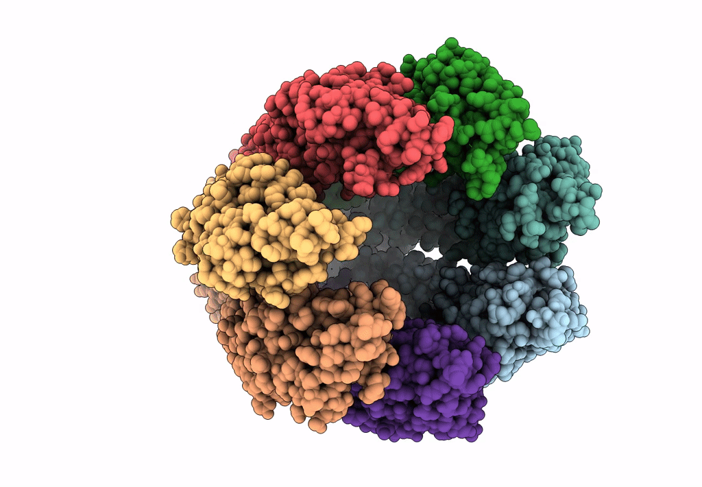 8DXO image