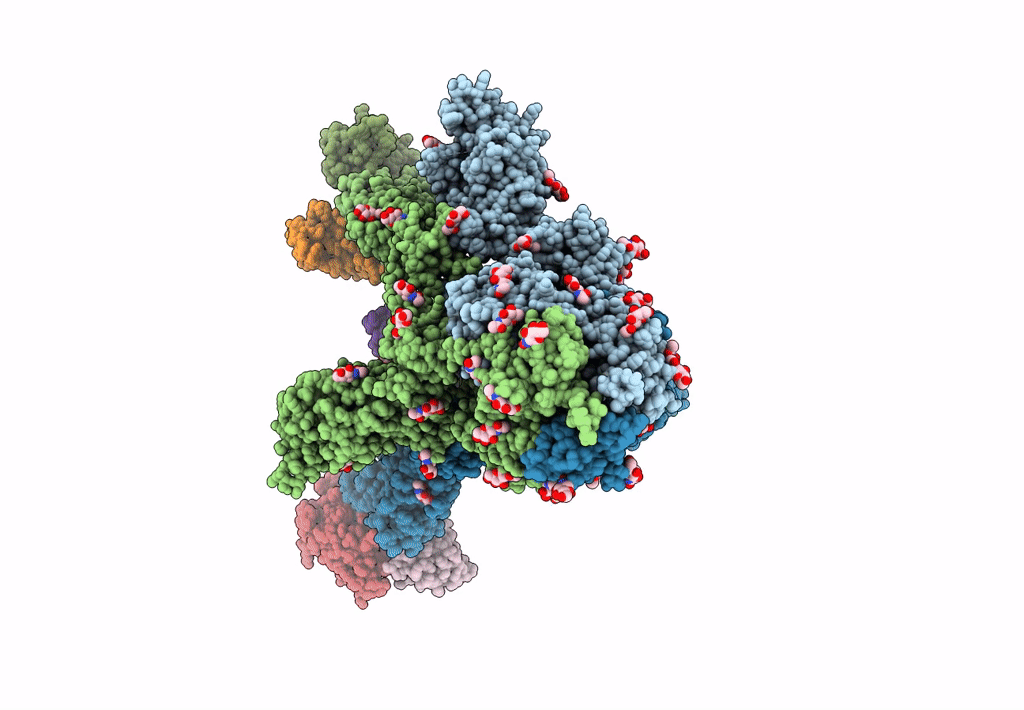 8DXS image