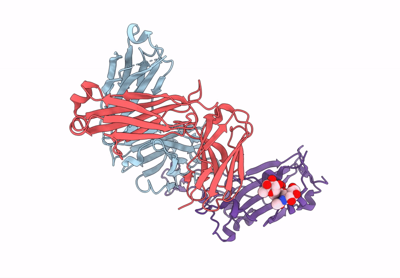 8DXT image