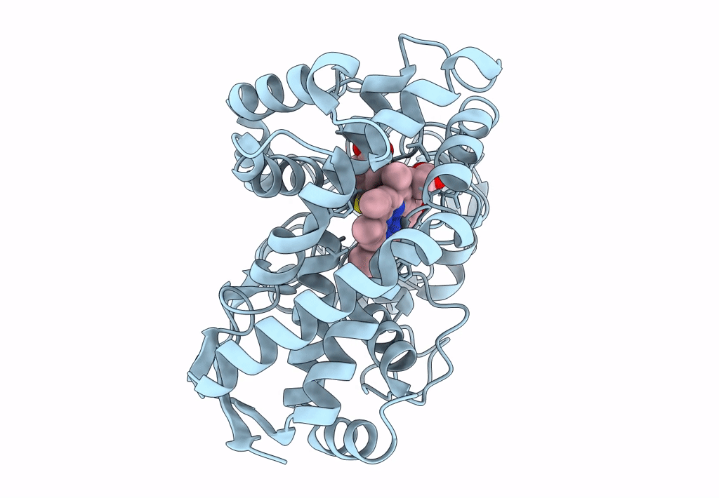 8DYB image