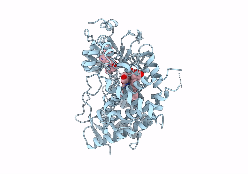 8DYC image