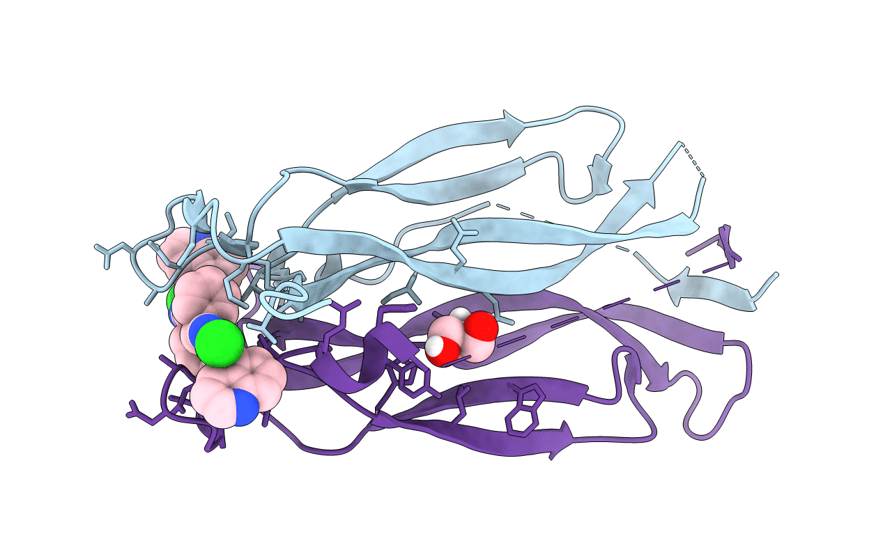 8DYH image