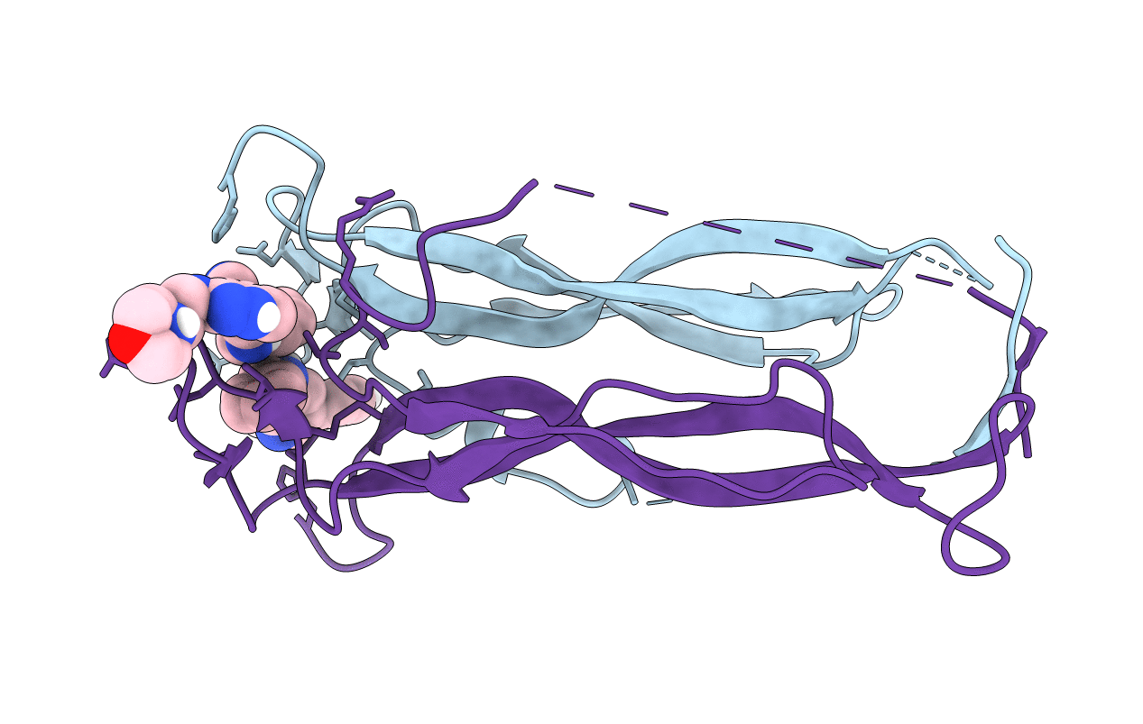 8DYI image