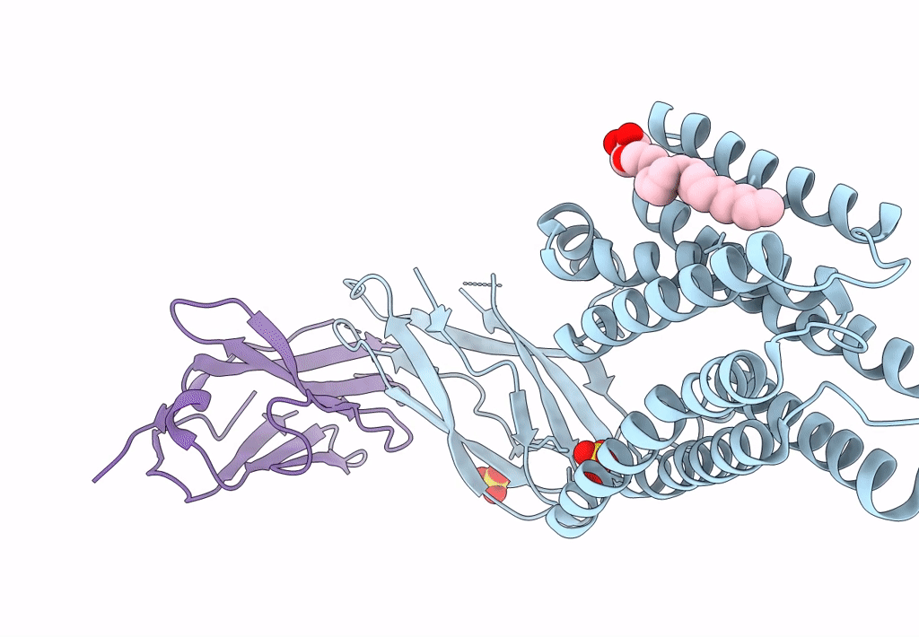 8DYP image
