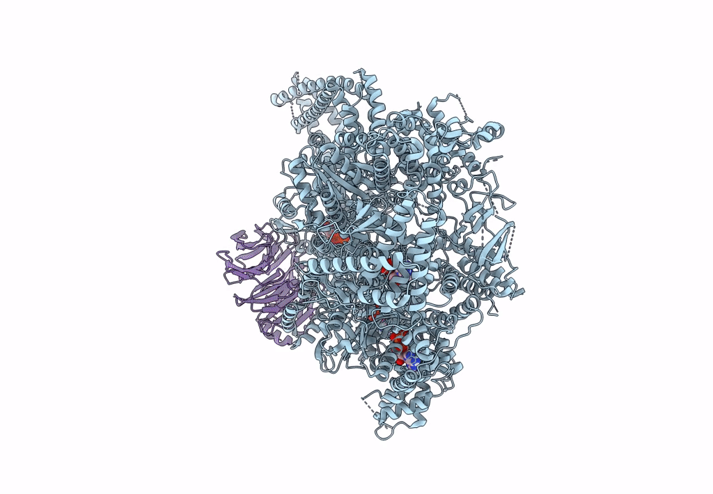 8DYV image