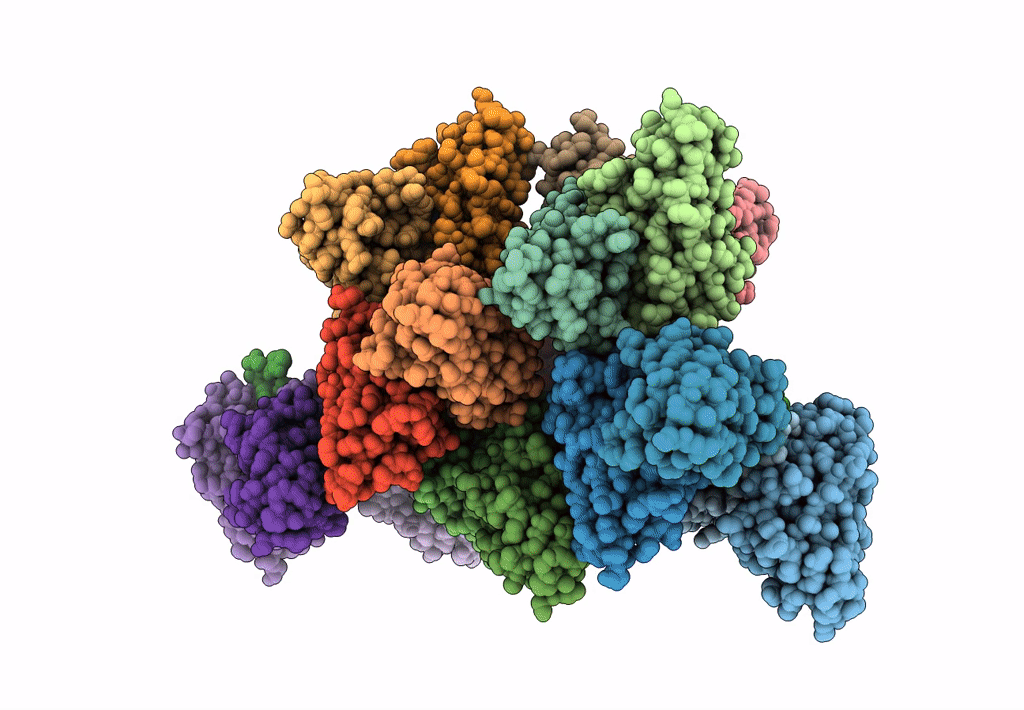 8DYX image