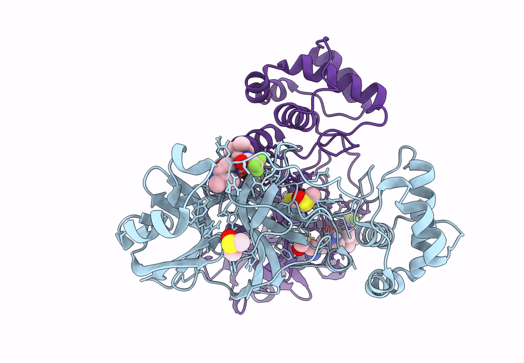 8DZA image