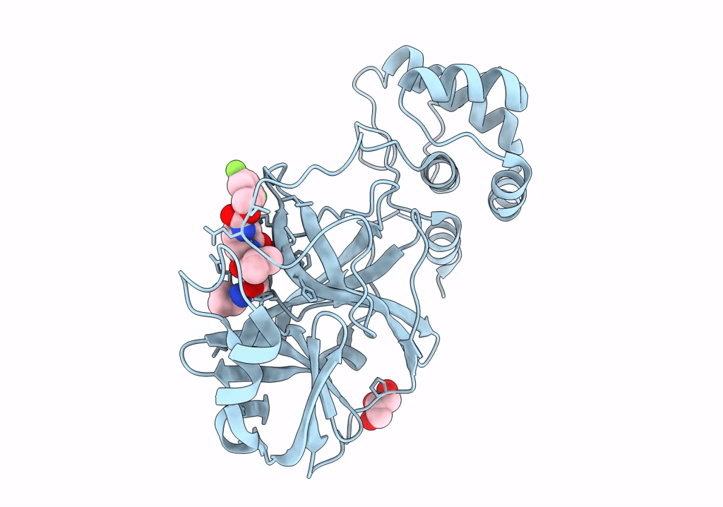 8DZC image