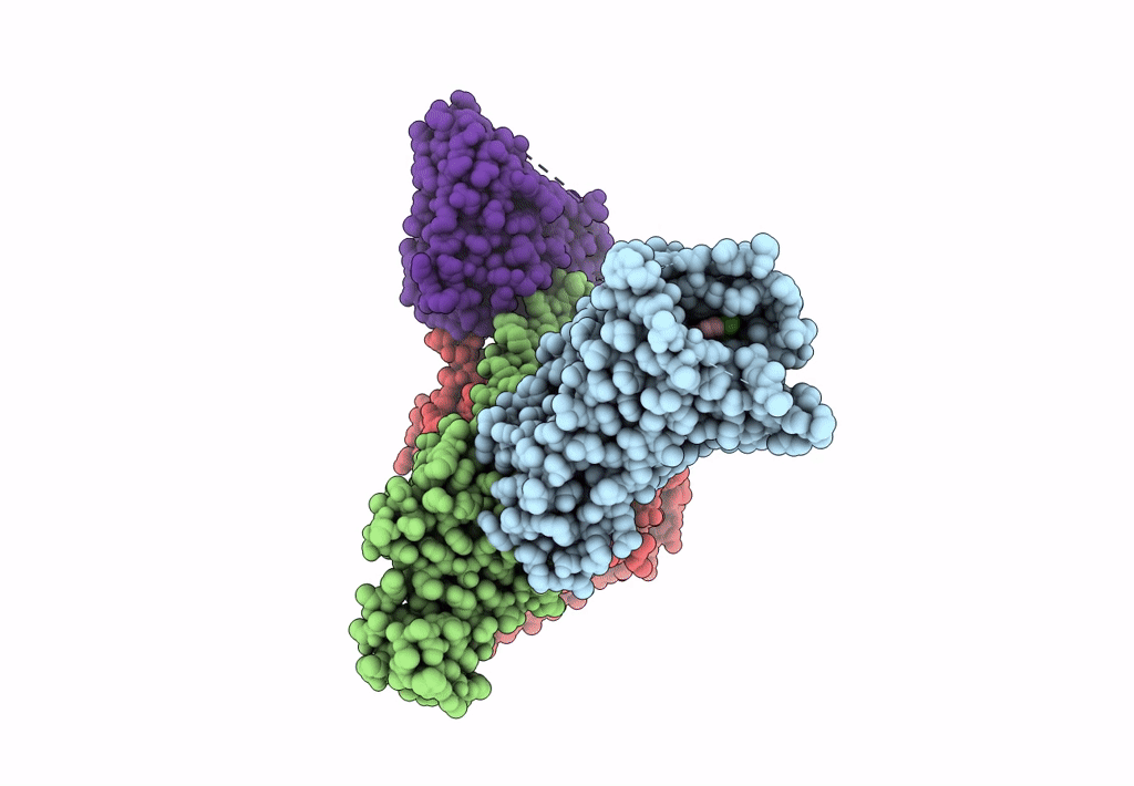 8DZR image