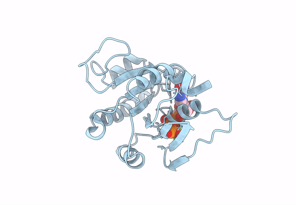 8E0C image