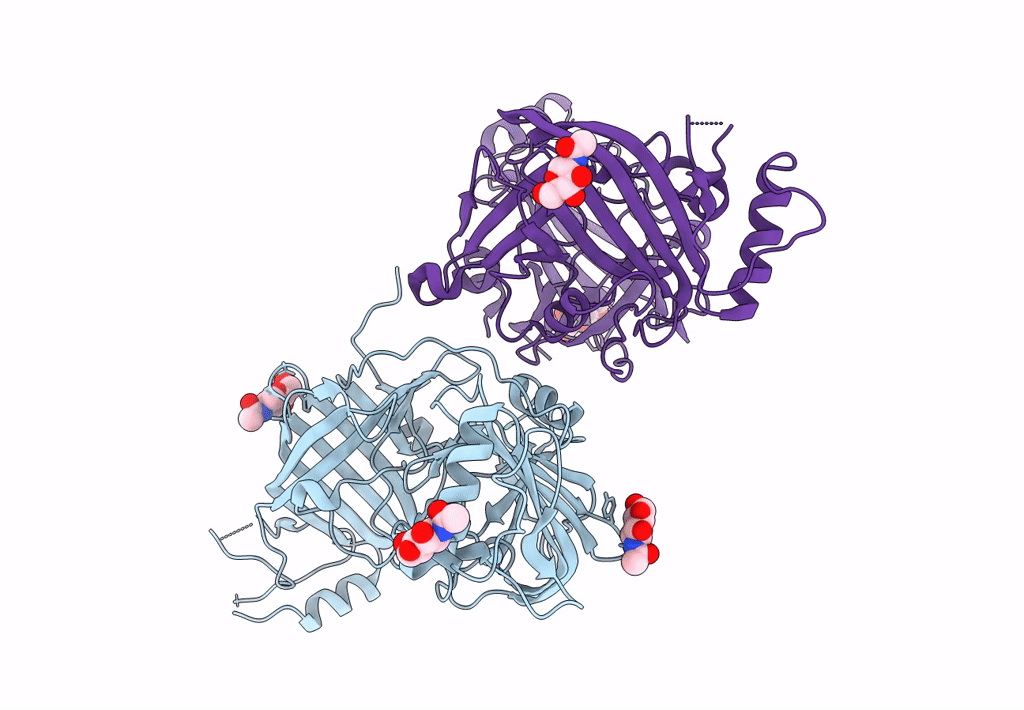 8E0R image