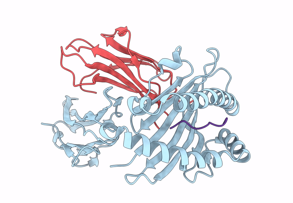 8E13 image