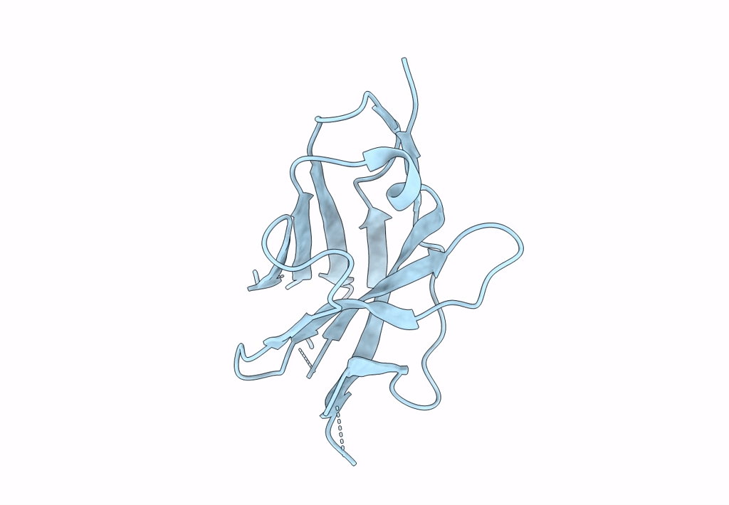 8E1B image