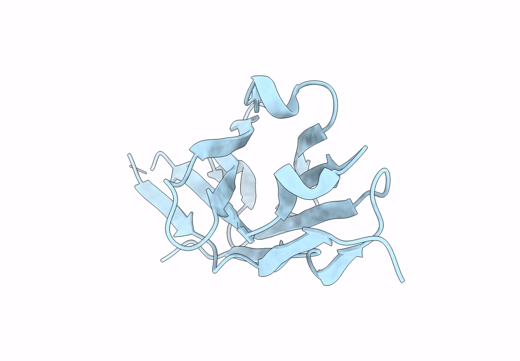 8E1C image