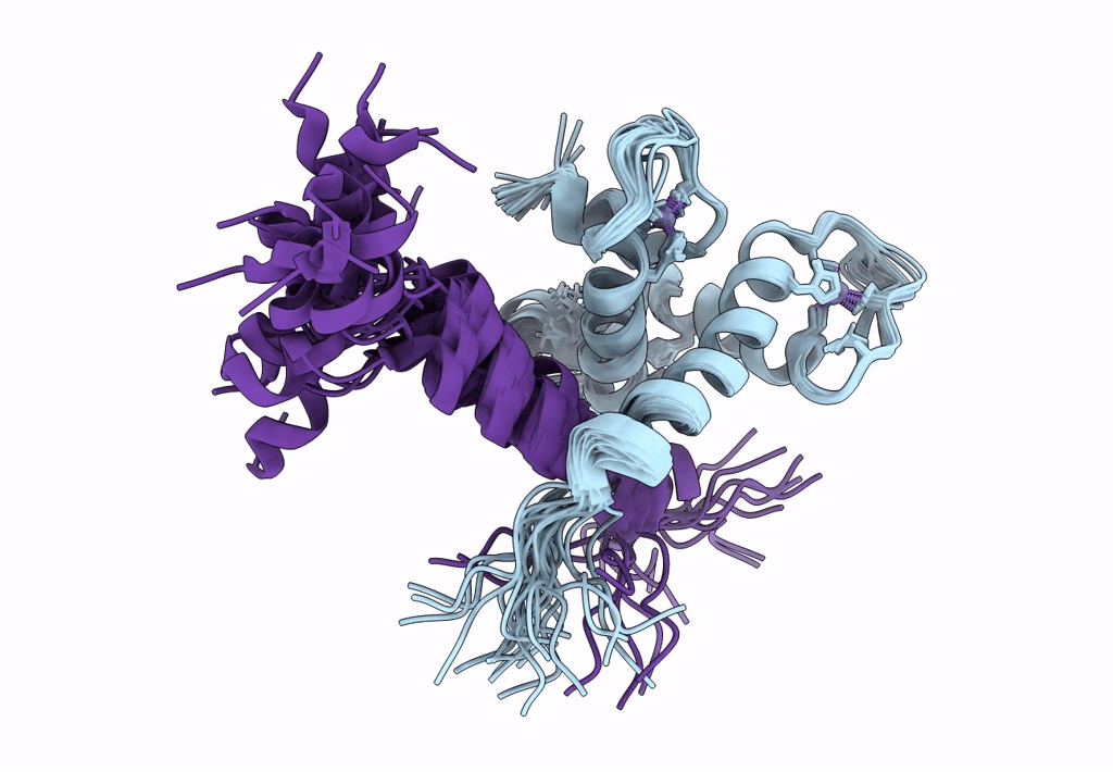 8E1D image
