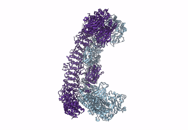8E2D image