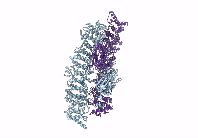 8E2E image