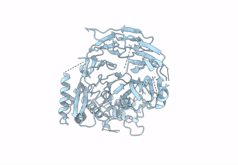8E2G image