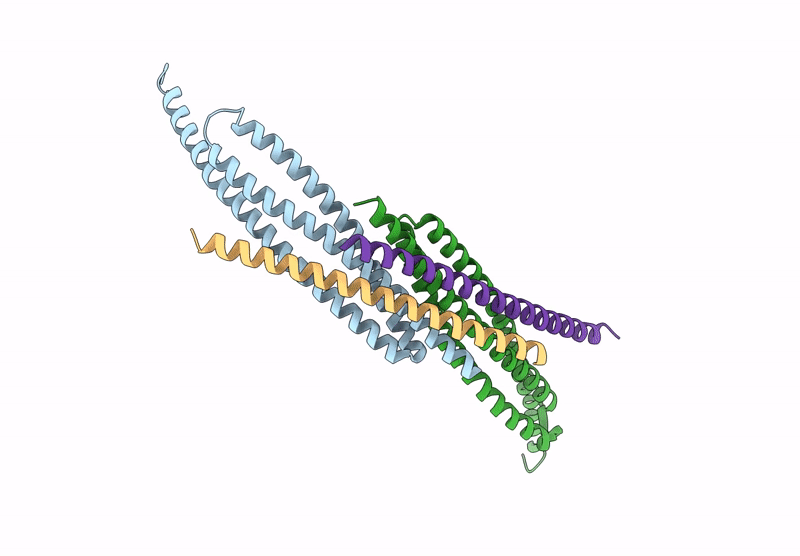 8E2J image