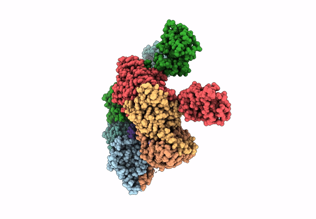 8E2L image