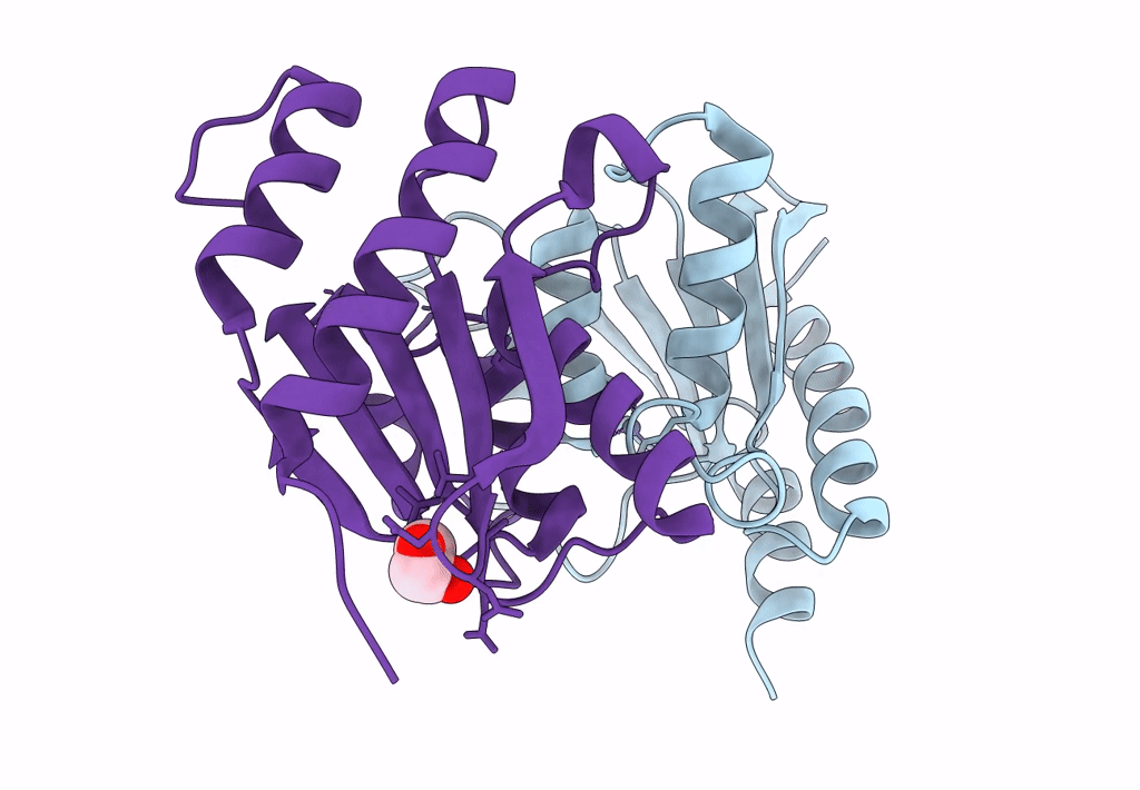 8E2R image