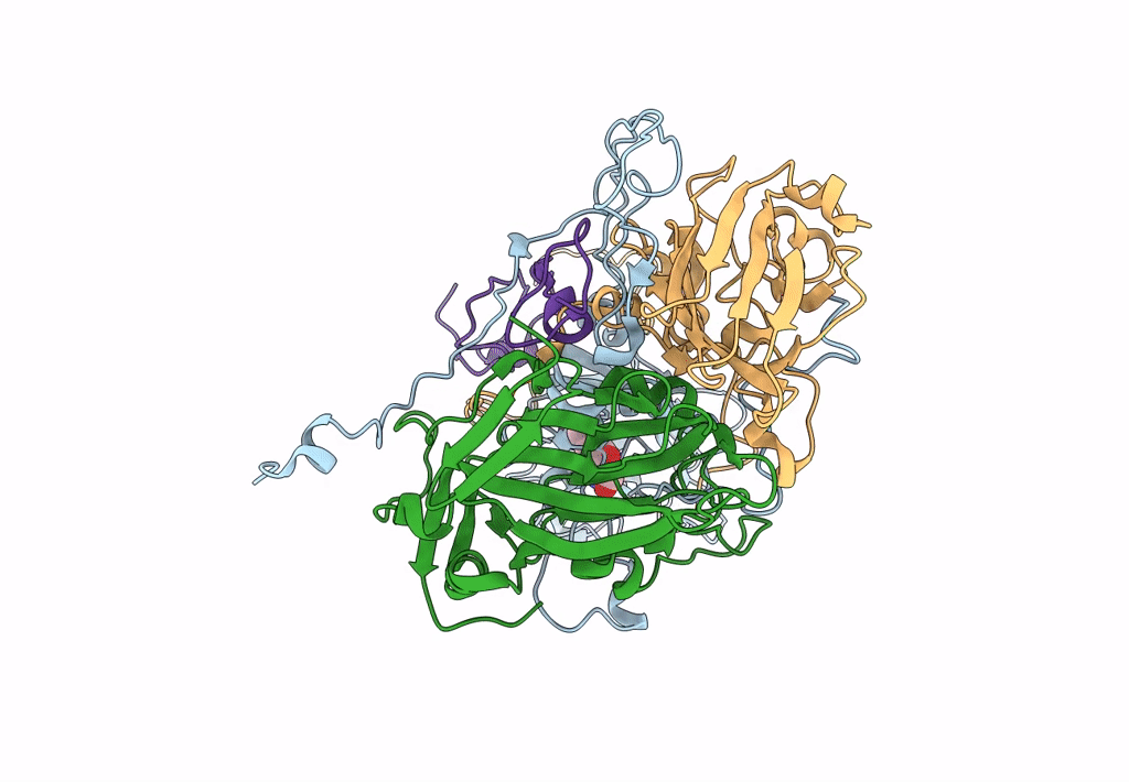 8E2X image