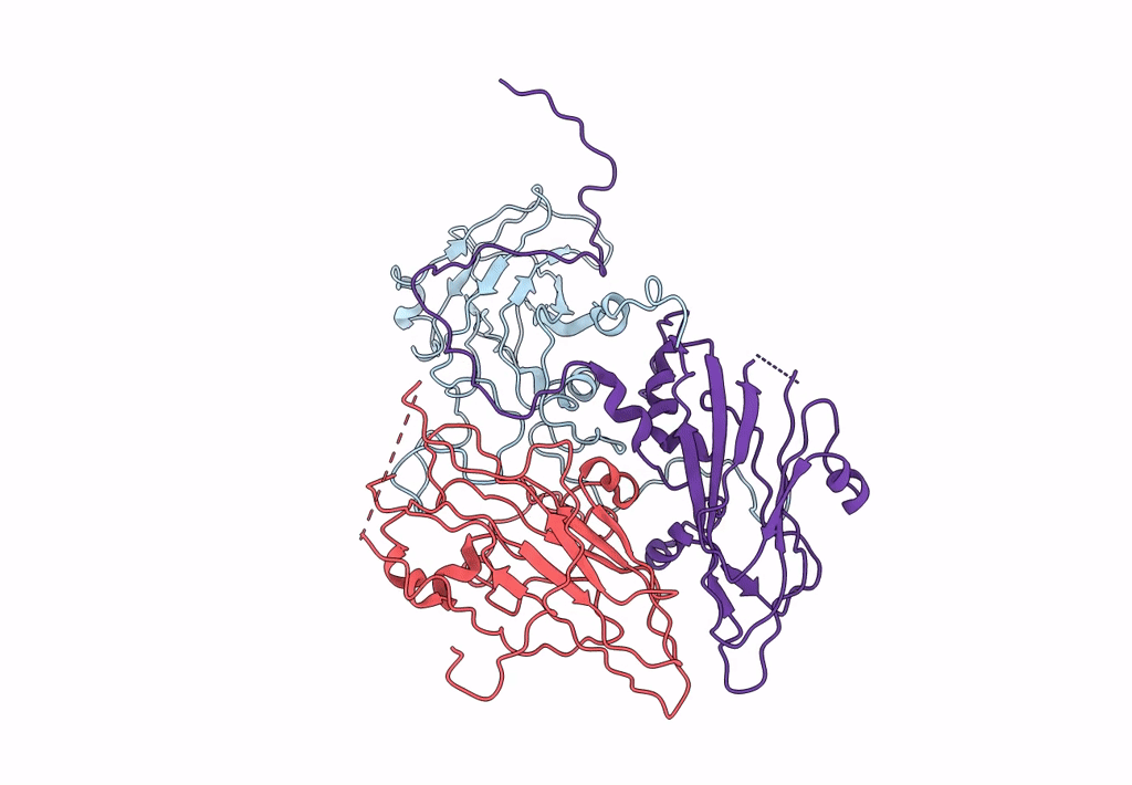 8E2Y image
