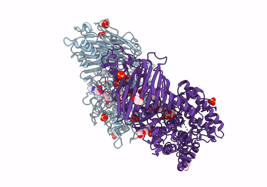 8E3J image