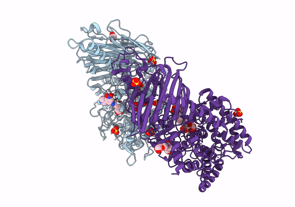 8E3P image