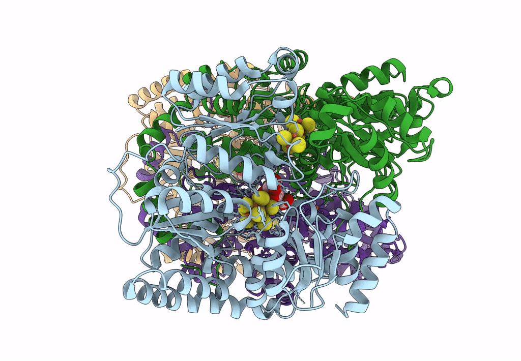 8E3V image