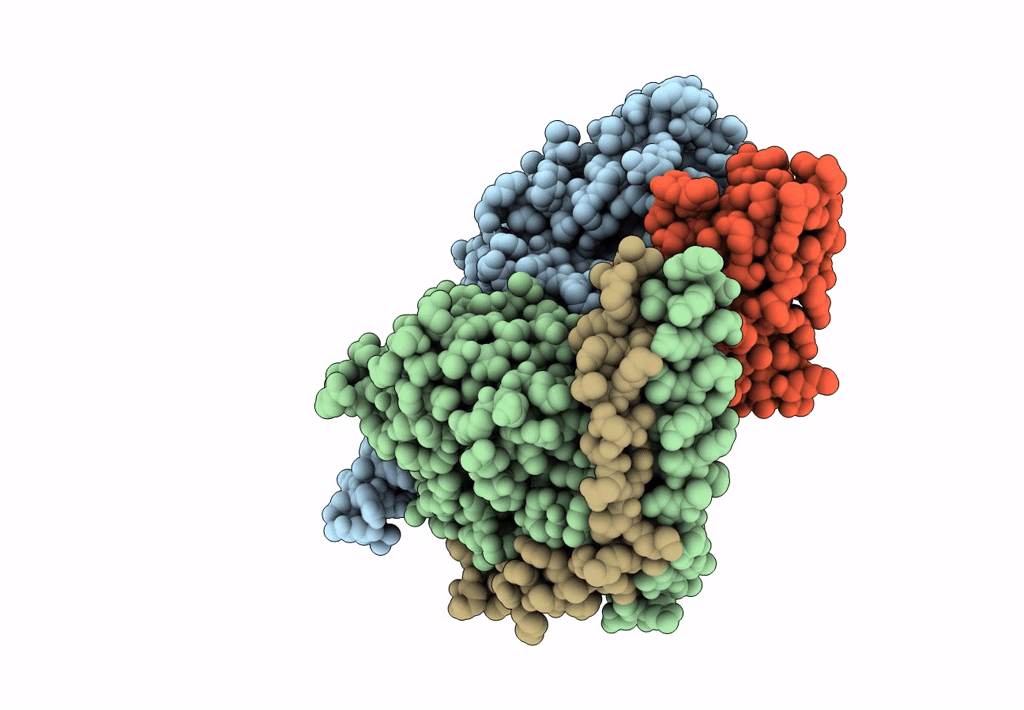 8E3X image