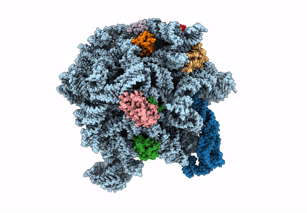 8E46 image