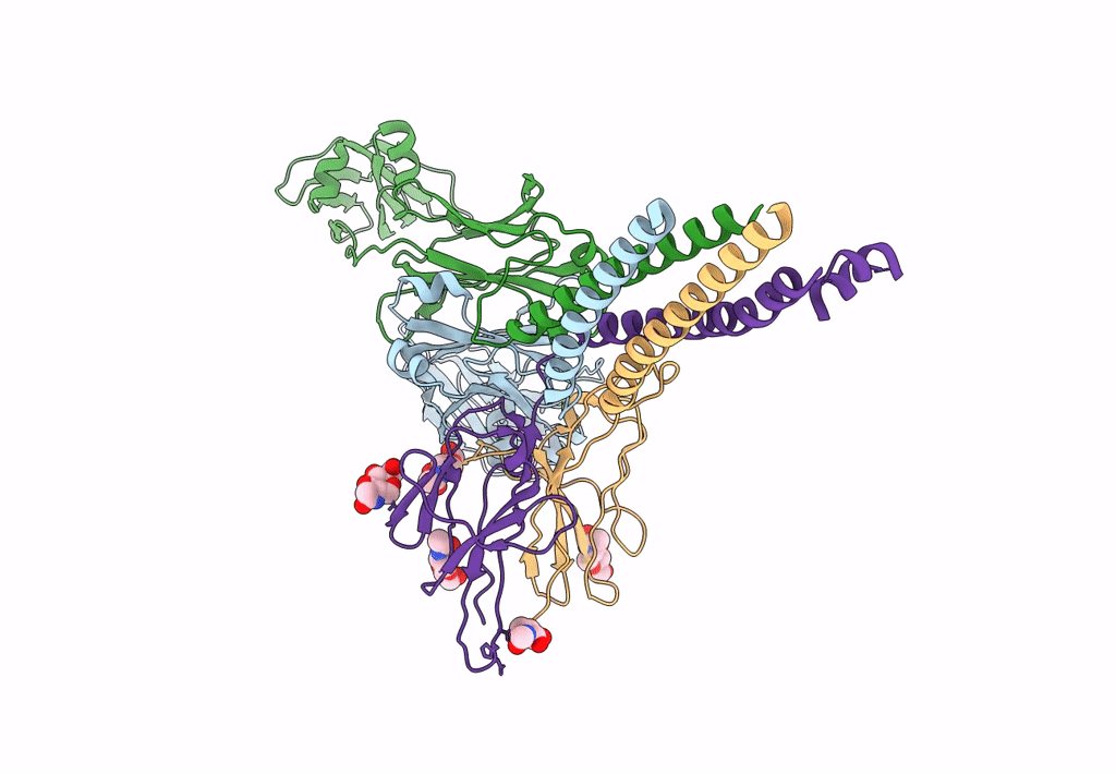 8E4C image