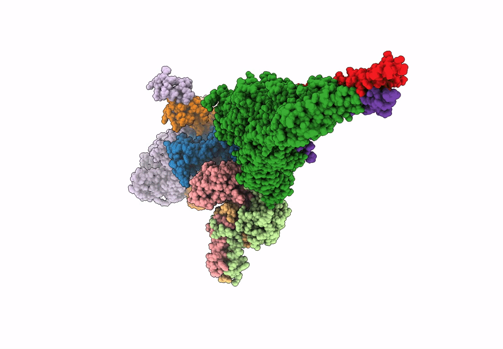 8E4G image