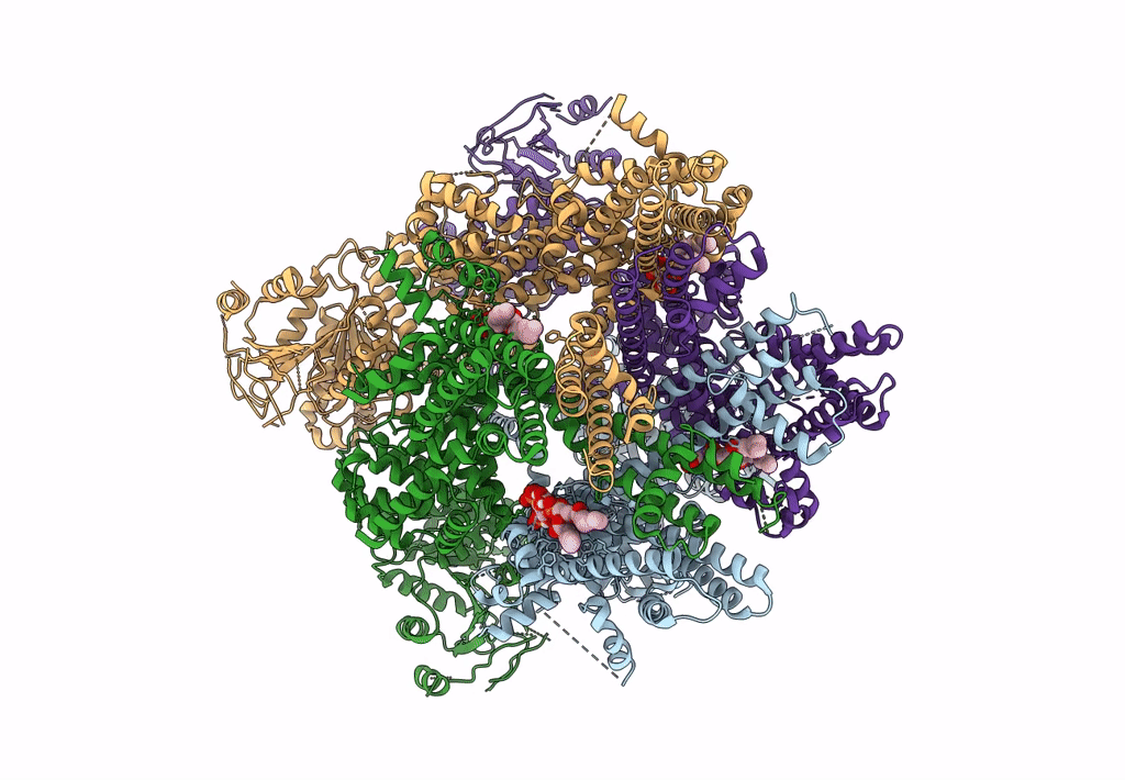 8E4N image
