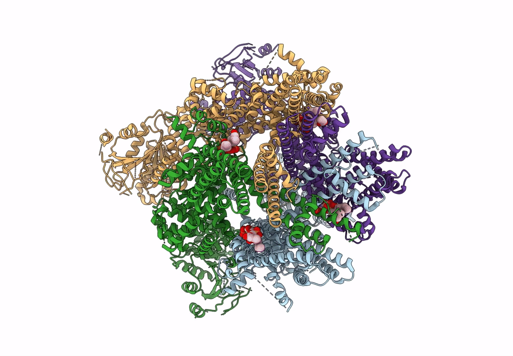 8E4O image