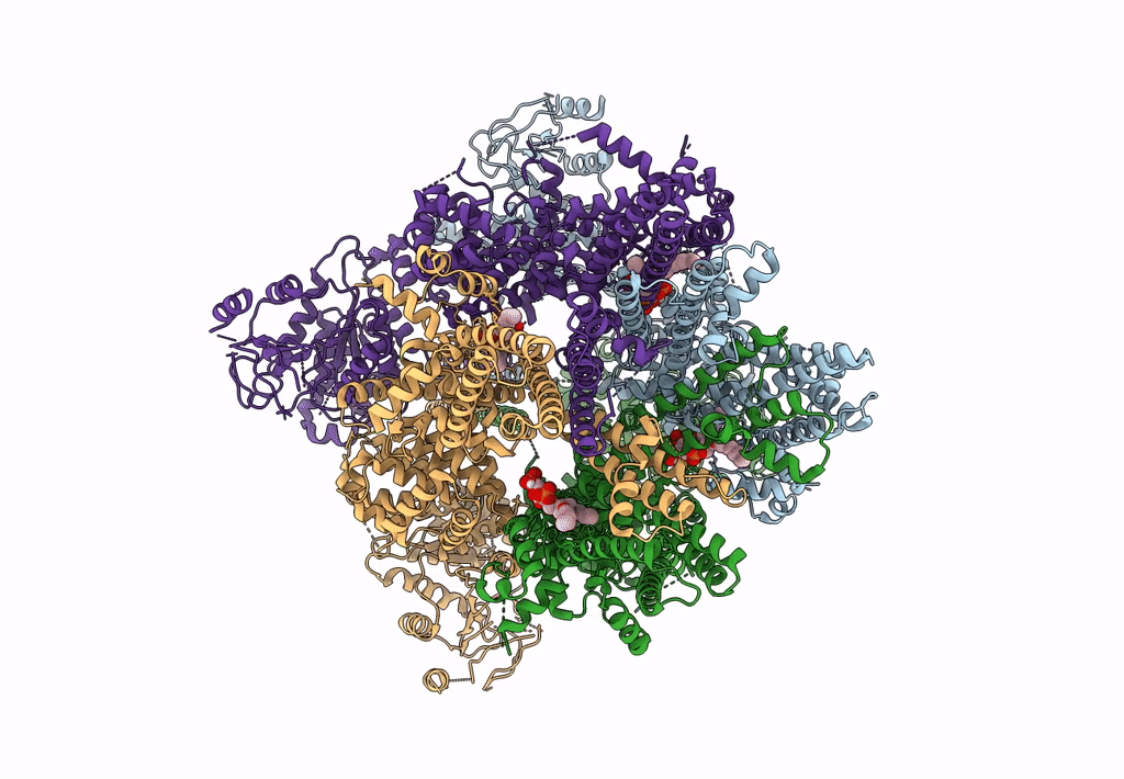8E4Q image